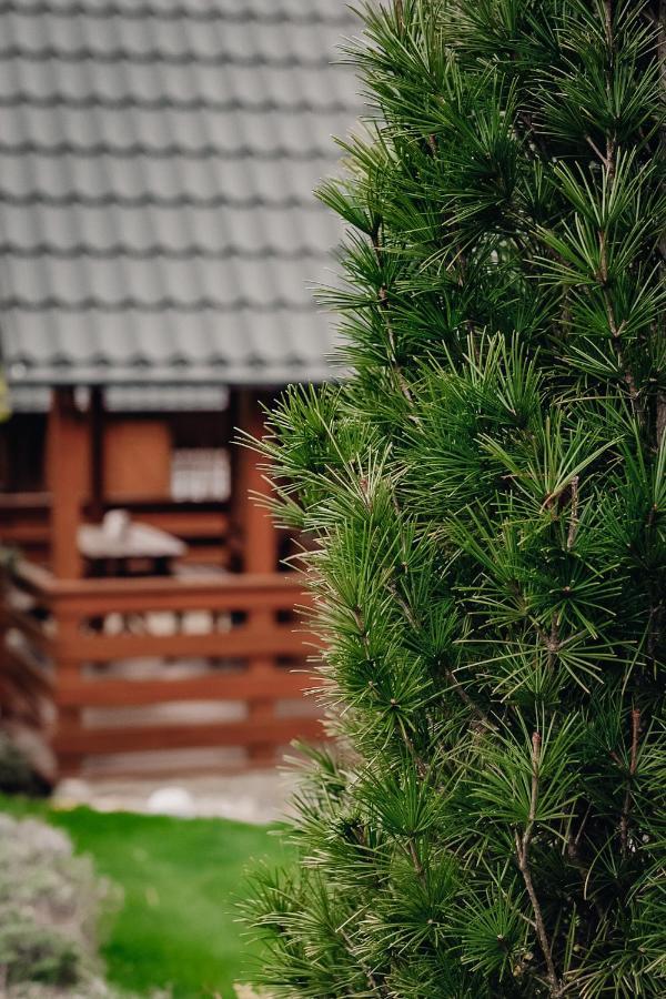 Domki U Basi Kudowa-Zdrój Extérieur photo