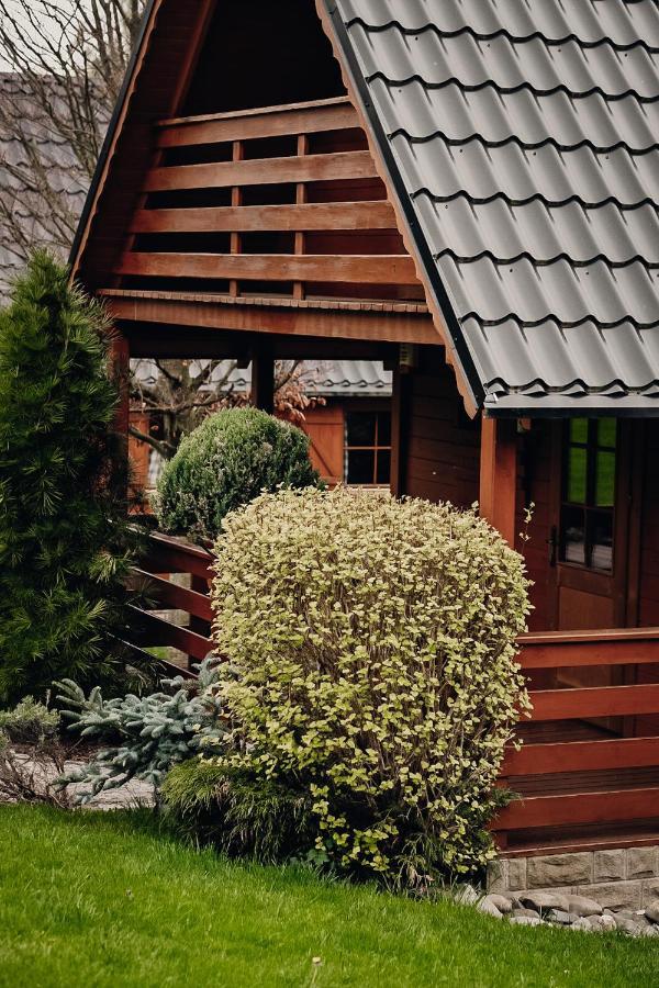 Domki U Basi Kudowa-Zdrój Extérieur photo